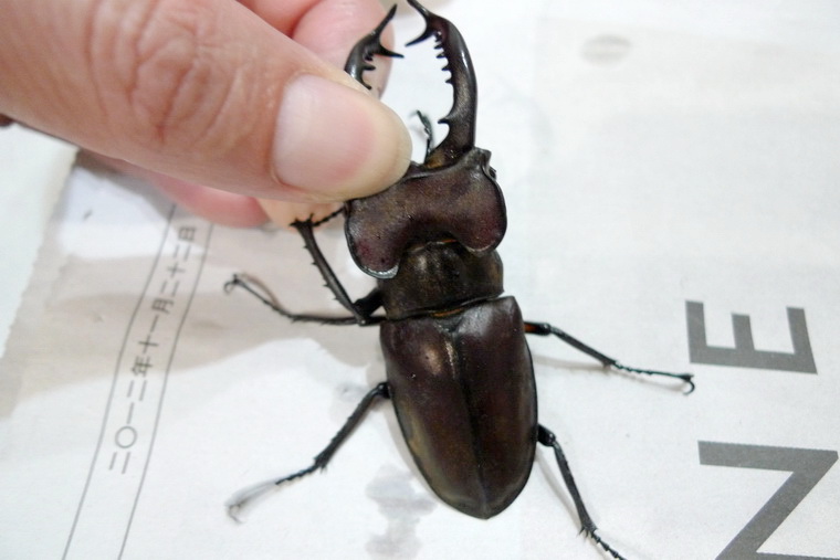 按此在新視窗瀏覽圖片