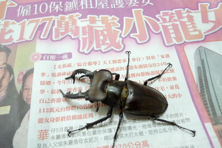 按此在新視窗瀏覽圖片