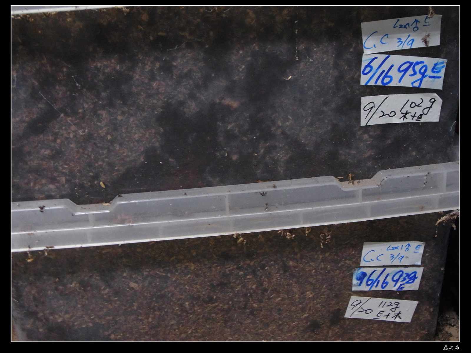 «ö¦¹¦b·sµøµ¡ÂsÄý¹Ï¤ù