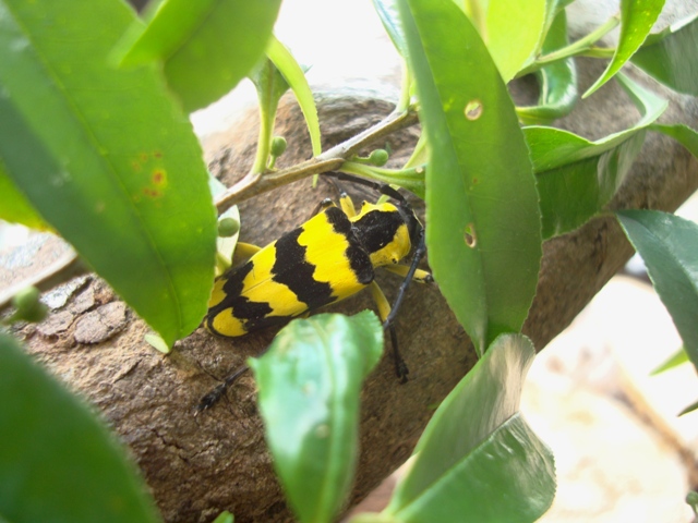 «ö¦¹¦b·sµøµ¡ÂsÄý¹Ï¤ù