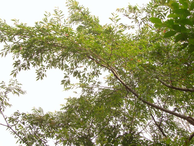 «ö¦¹¦b·sµøµ¡ÂsÄý¹Ï¤ù