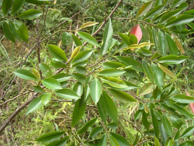 «ö¦¹¦b·sµøµ¡ÂsÄý¹Ï¤ù