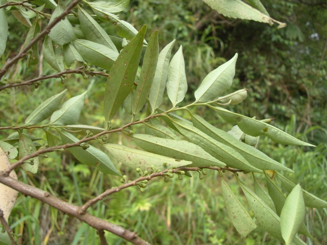 «ö¦¹¦b·sµøµ¡ÂsÄý¹Ï¤ù