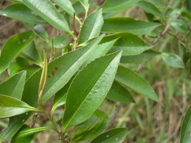 «ö¦¹¦b·sµøµ¡ÂsÄý¹Ï¤ù