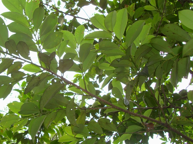 «ö¦¹¦b·sµøµ¡ÂsÄý¹Ï¤ù