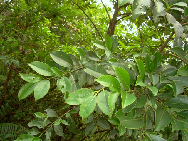 «ö¦¹¦b·sµøµ¡ÂsÄý¹Ï¤ù