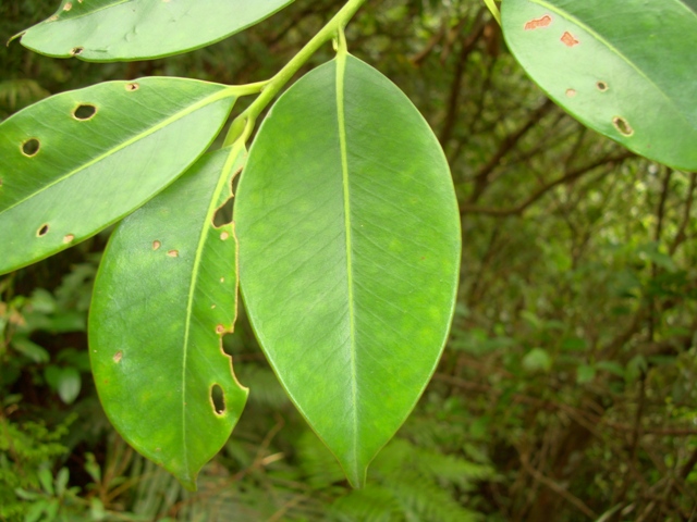 «ö¦¹¦b·sµøµ¡ÂsÄý¹Ï¤ù