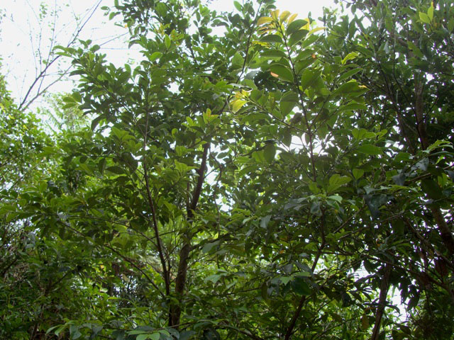 «ö¦¹¦b·sµøµ¡ÂsÄý¹Ï¤ù