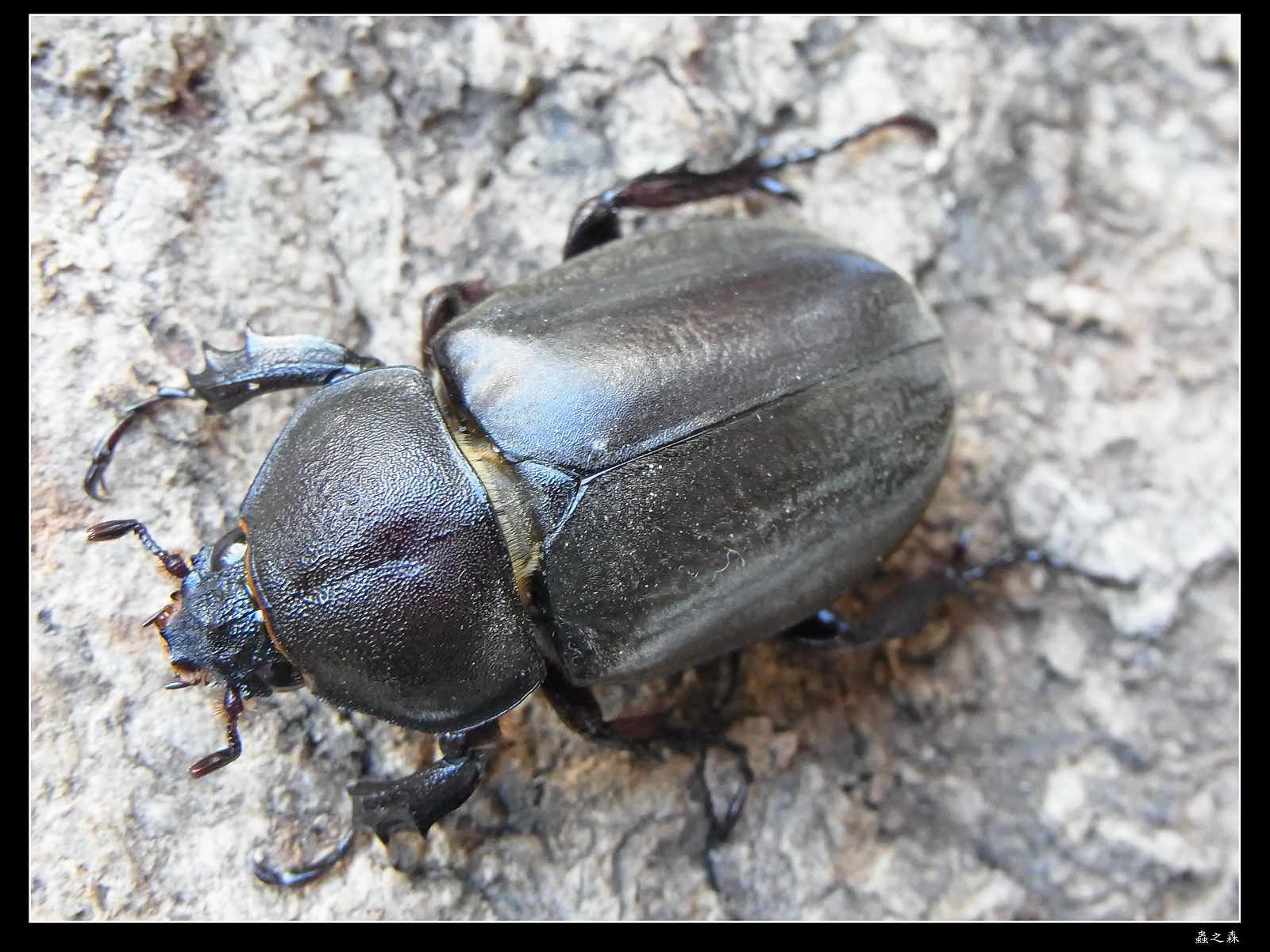 按此在新視窗瀏覽圖片