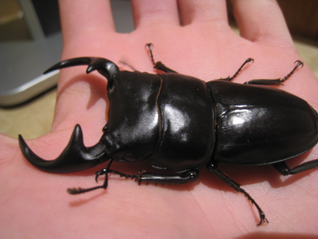 按此在新視窗瀏覽圖片