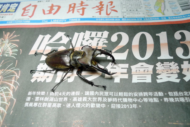 按此在新視窗瀏覽圖片