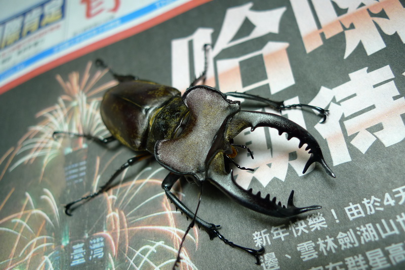 按此在新視窗瀏覽圖片