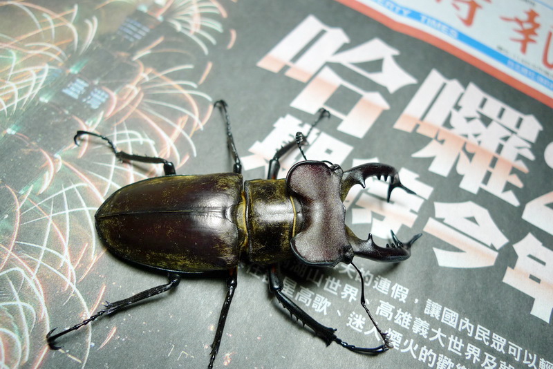 按此在新視窗瀏覽圖片