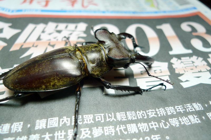 按此在新視窗瀏覽圖片