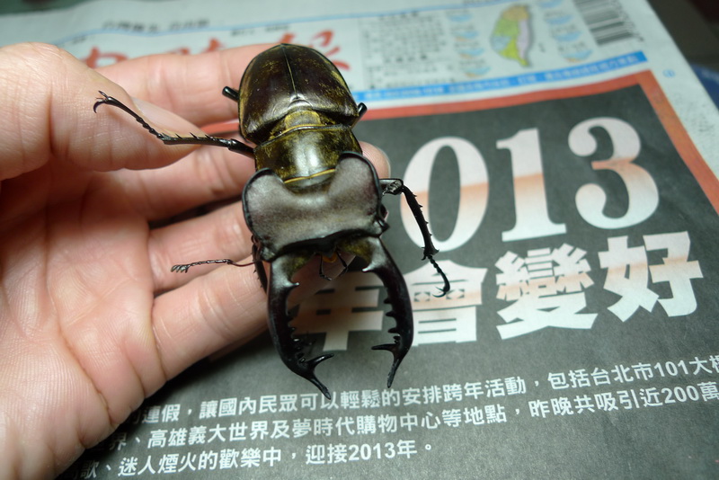 按此在新視窗瀏覽圖片