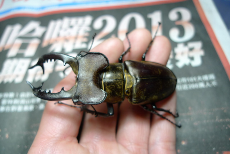 按此在新視窗瀏覽圖片