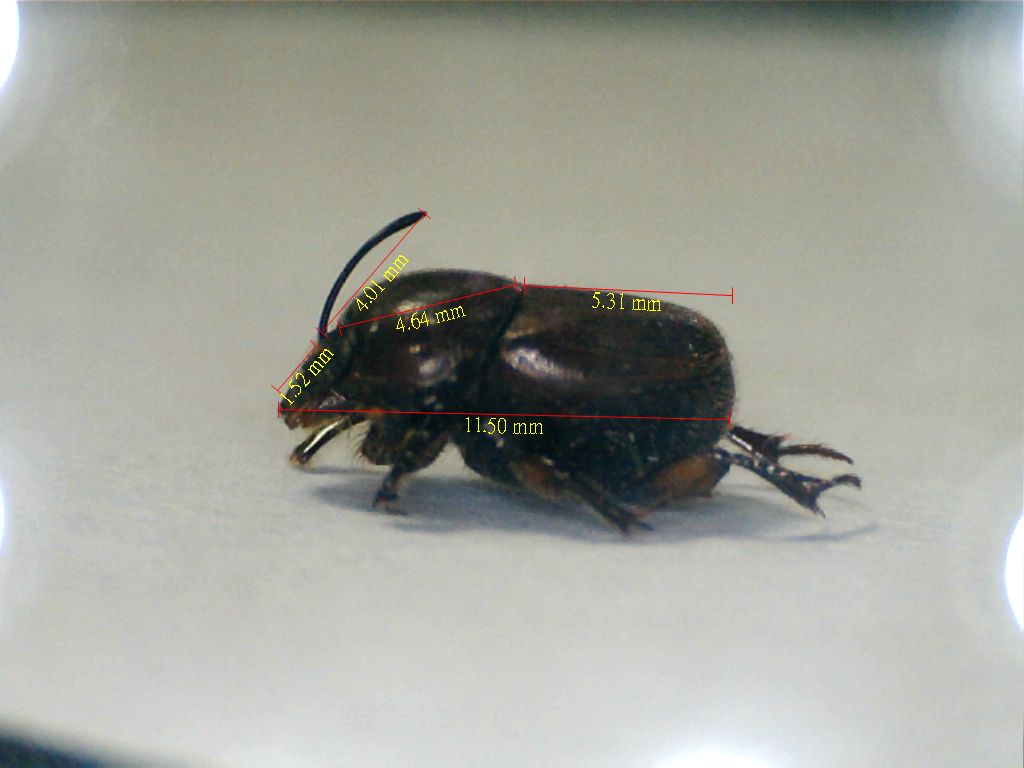 «ö¦¹¦b·sµøµ¡ÂsÄý¹Ï¤ù