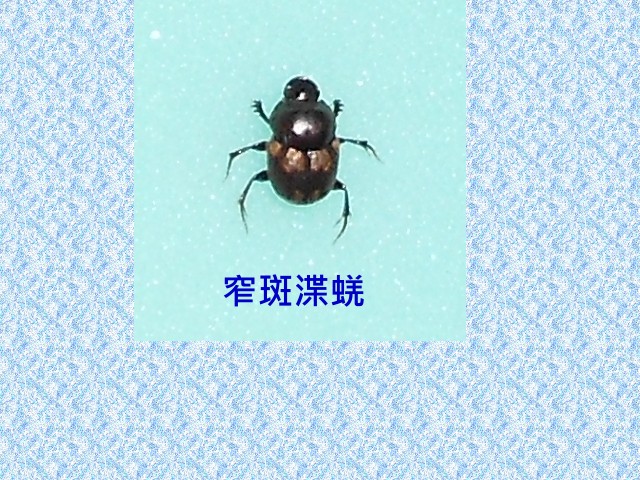 «ö¦¹¦b·sµøµ¡ÂsÄý¹Ï¤ù