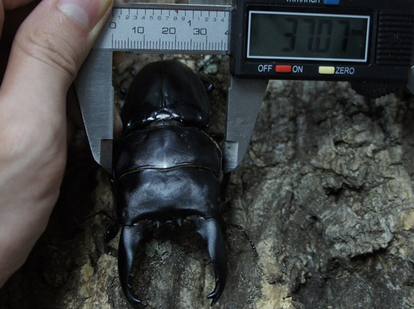 按此在新視窗瀏覽圖片