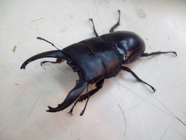 按此在新視窗瀏覽圖片