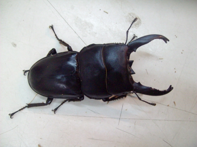 按此在新視窗瀏覽圖片