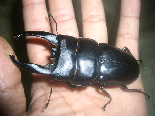 按此在新視窗瀏覽圖片