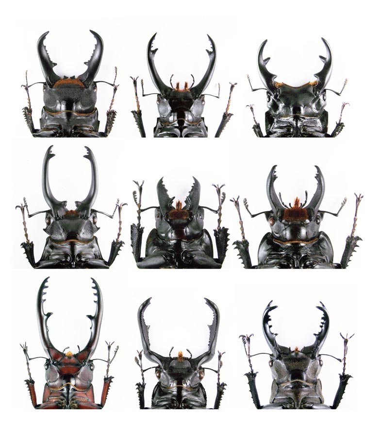 按此在新視窗瀏覽圖片