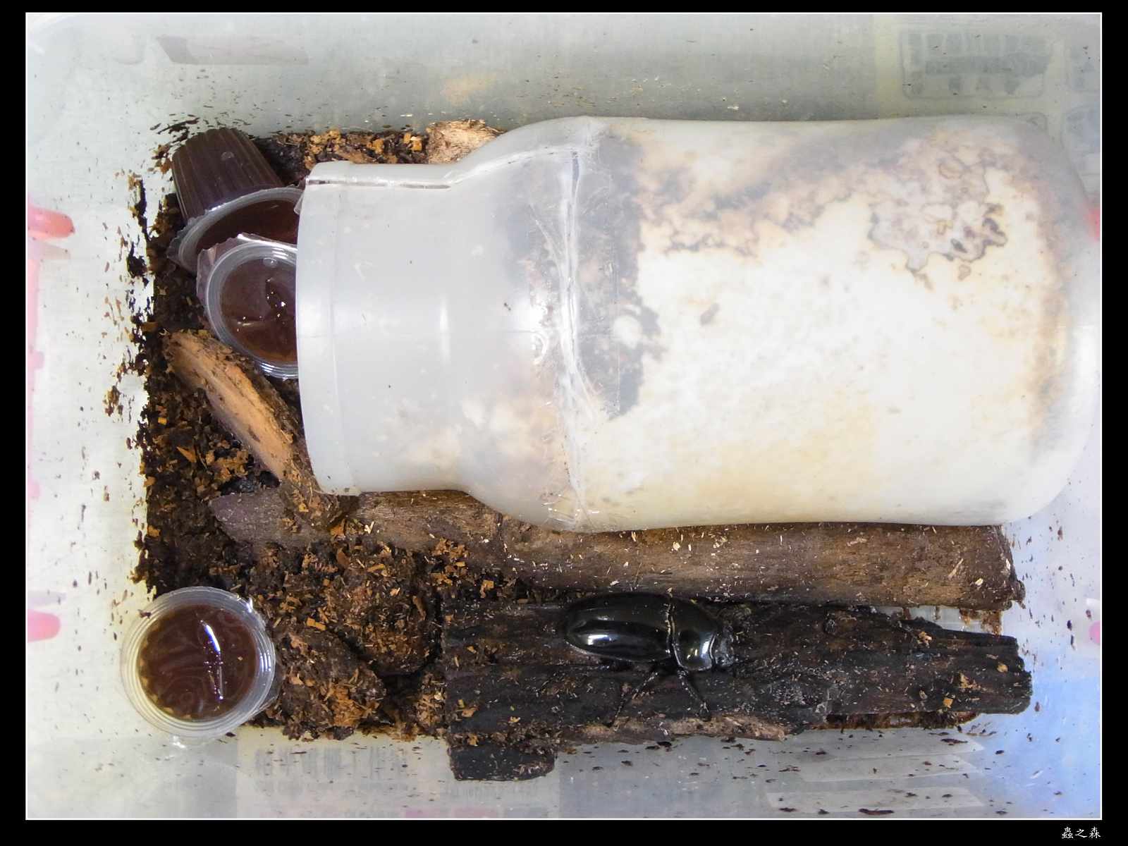 按此在新視窗瀏覽圖片