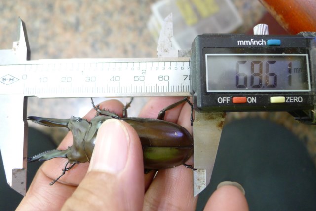 按此在新視窗瀏覽圖片