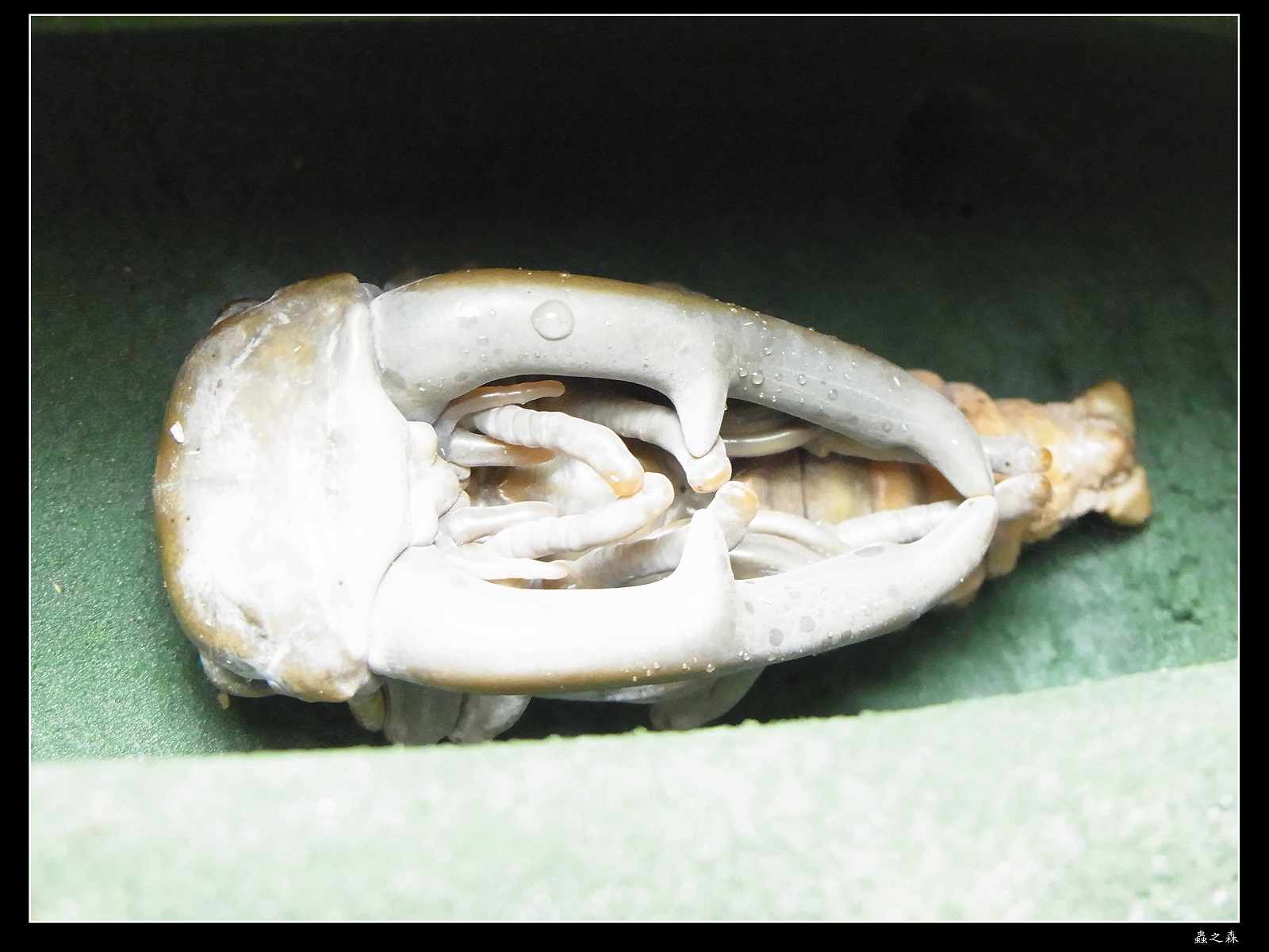 按此在新視窗瀏覽圖片