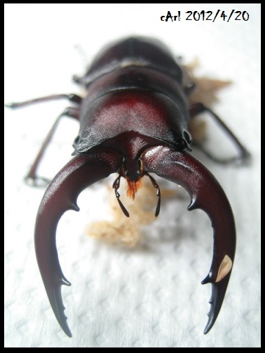 按此在新視窗瀏覽圖片