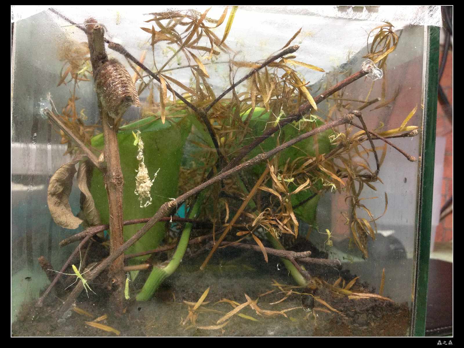 按此在新視窗瀏覽圖片