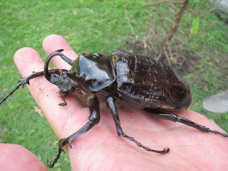 按此在新視窗瀏覽圖片