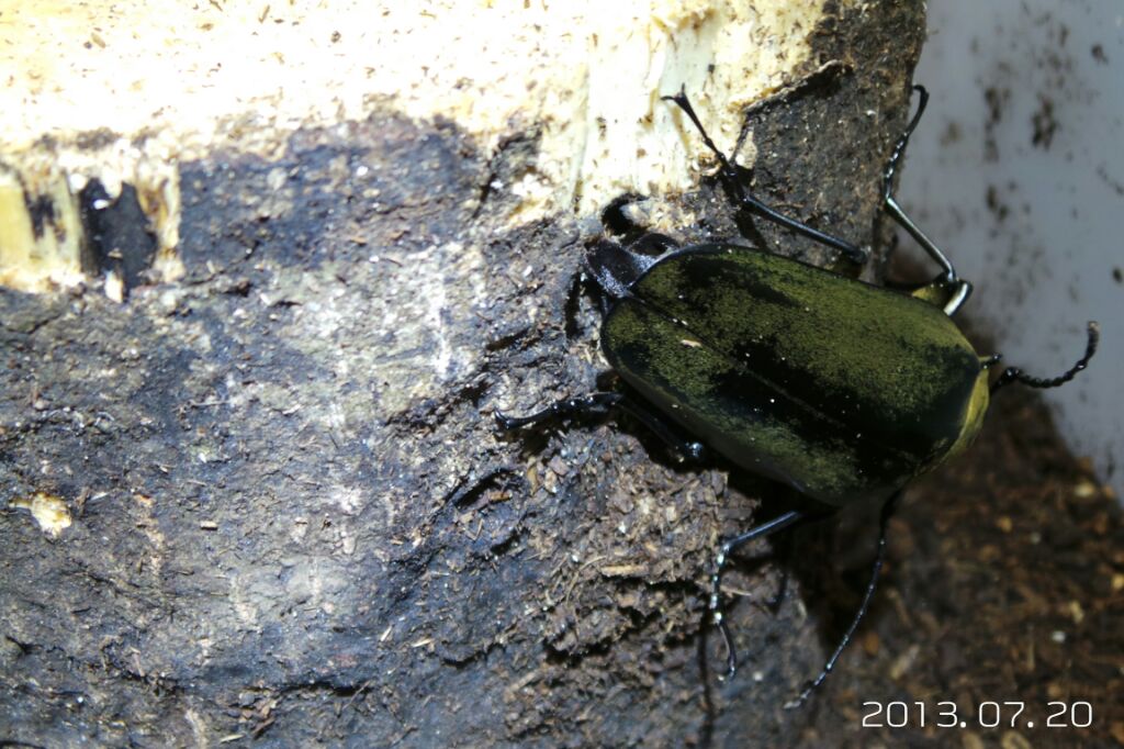 按此在新視窗瀏覽圖片