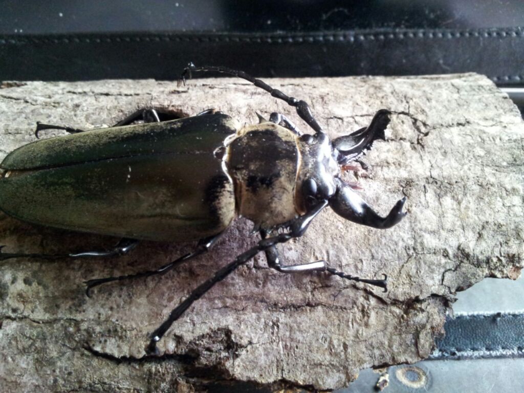 按此在新視窗瀏覽圖片