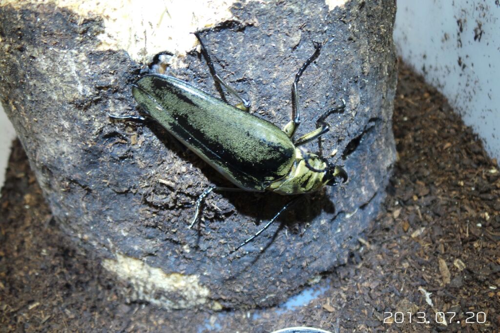 按此在新視窗瀏覽圖片