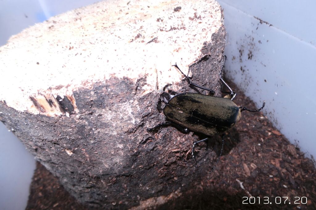 按此在新視窗瀏覽圖片