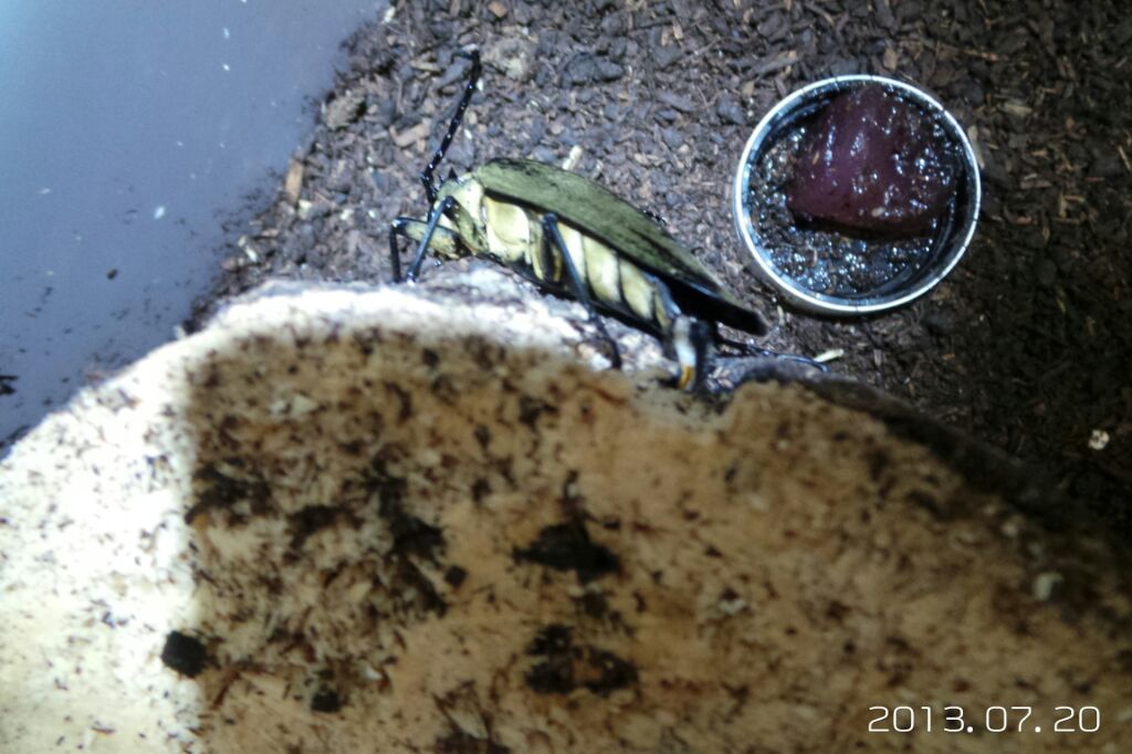 按此在新視窗瀏覽圖片