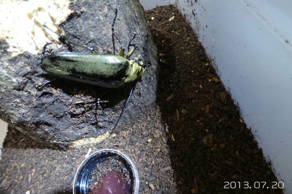 按此在新視窗瀏覽圖片