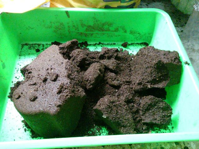 «ö¦¹¦b·sµøµ¡ÂsÄý¹Ï¤ù