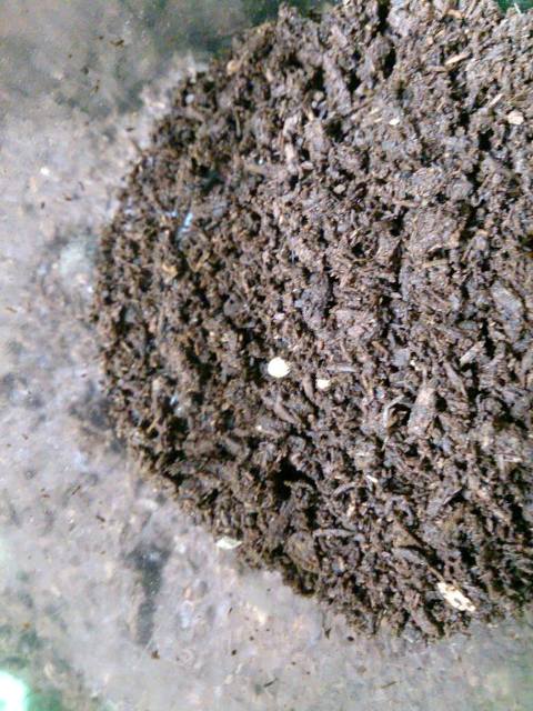 «ö¦¹¦b·sµøµ¡ÂsÄý¹Ï¤ù