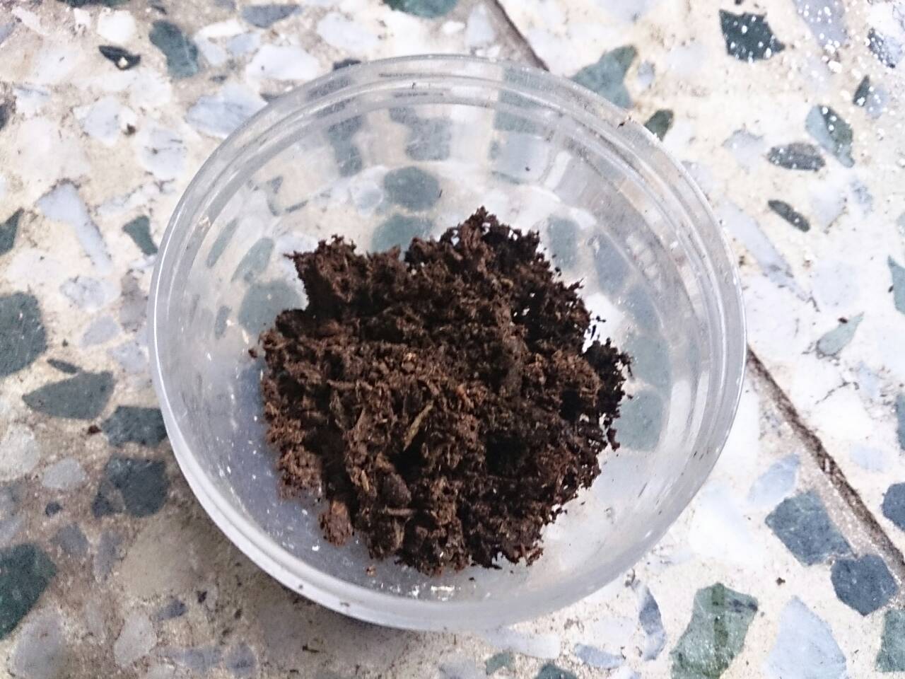 «ö¦¹¦b·sµøµ¡ÂsÄý¹Ï¤ù