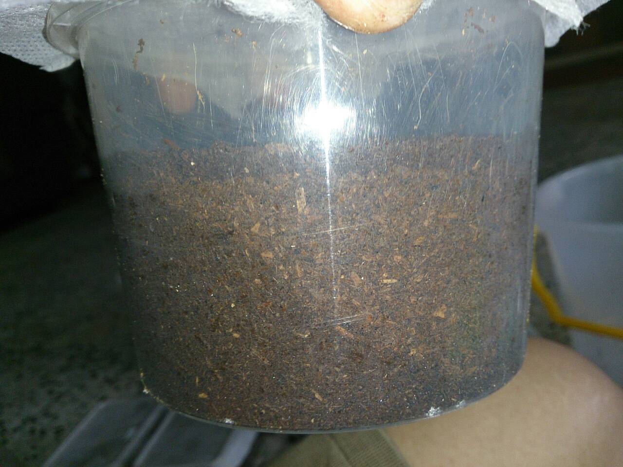 «ö¦¹¦b·sµøµ¡ÂsÄý¹Ï¤ù