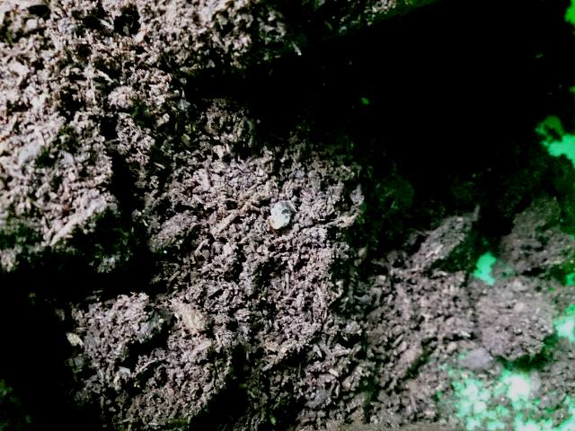 «ö¦¹¦b·sµøµ¡ÂsÄý¹Ï¤ù