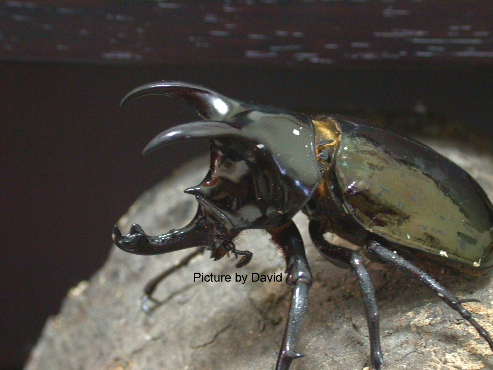 按此在新視窗瀏覽圖片