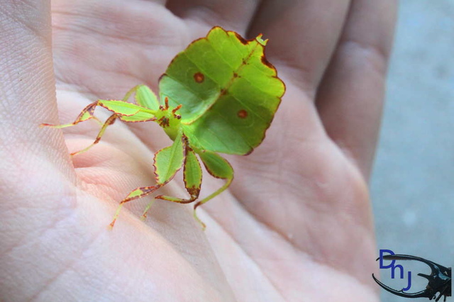 按此在新視窗瀏覽圖片