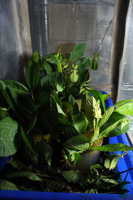 按此在新視窗瀏覽圖片