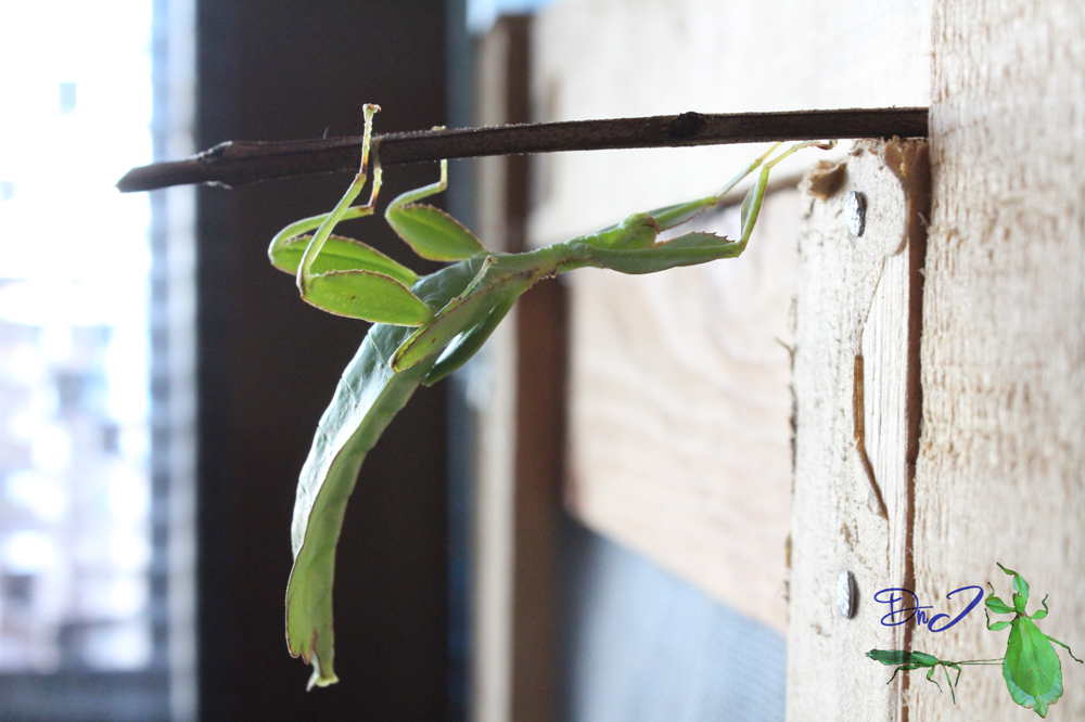 按此在新視窗瀏覽圖片