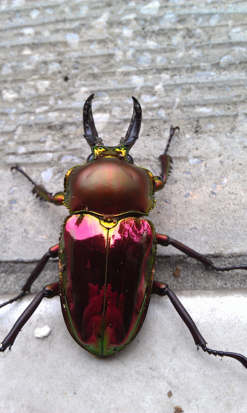 按此在新視窗瀏覽圖片