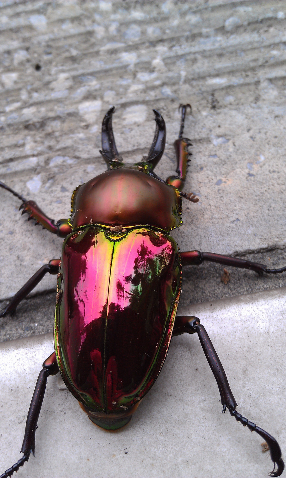 按此在新視窗瀏覽圖片